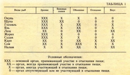 Sistemul nervos, organele de simț, comportamentul peștilor - portalul despre pescuit