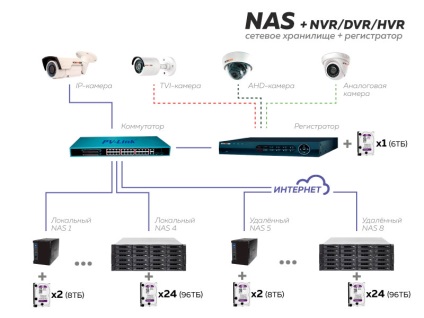 Novicam pro nas