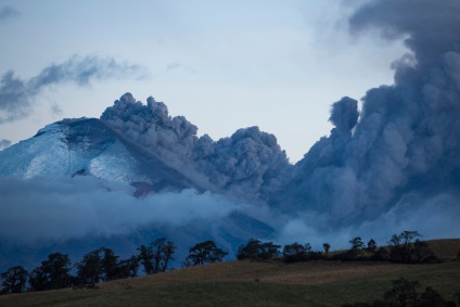 Vulcanii Vârtejului Vârtej Chris Olivares - pasărea în zbor