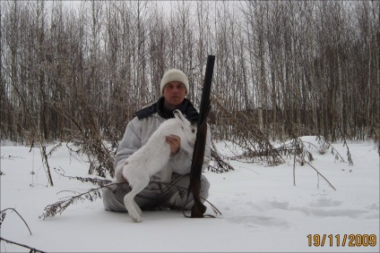 Vânătoare pentru un iepure fără câine - vânătoare și pescuit în Rusia și în străinătate