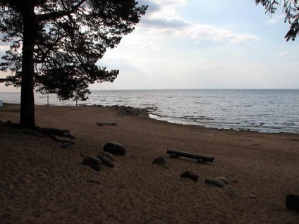 Scăzută de mâncare la un hotel de mare surf (sera)