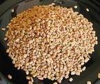 Fenugreek (Shamballa) este un condiment favorit al călugărilor benedictini, o planetă de lungă ficat