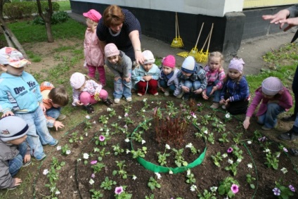 Proiectul pedagogic 