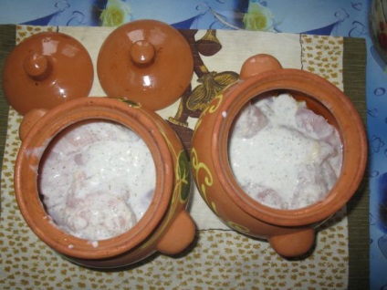 Cserzett csirke vagy burgonya csirkével a potban - receptek egy fotóval