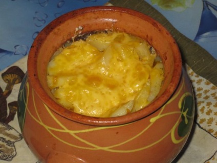 Cserzett csirke vagy burgonya csirkével a potban - receptek egy fotóval