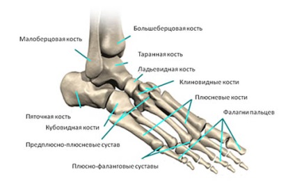 Fractura osului metatarsal al piciorului cât de mult să meargă într-o castă, reabilitare