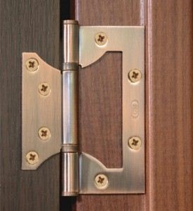 Balamale pentru ușile de ansamblu a tipurilor de bucle (forjate, universale, bare și altele) pentru interior