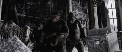 Planeta războiului cu maimuțe