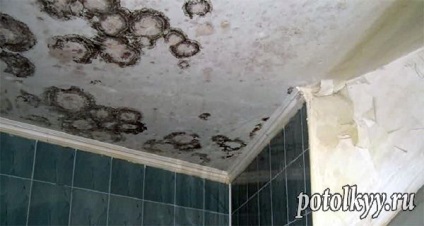 Mucegaiul și ciupercile de pe tavan în baia cauzează și metodele de luptă