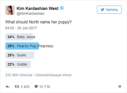 Utilizatorii au ajutat fiica de 3 ani, Kim Kardashian, să aleagă un nume pentru catelusul ei - orașul zooinform