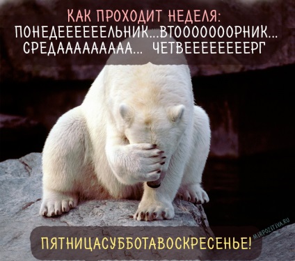 Hétfő képek (vicces) Hétfő képek