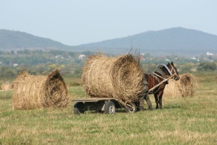 Vacanta in ziua - date, istorie, traditii, semne