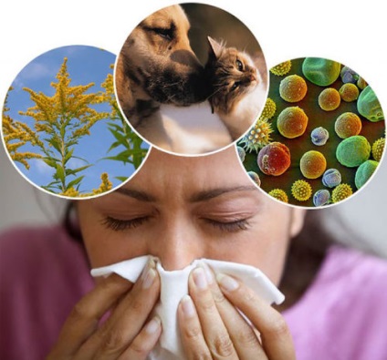Allergia elleni gyógyszerek - a tablettákon, cseppekben, kenőcsökben lévő gyógyszerek listája