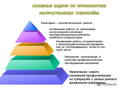 Prezentare privind analiza activității instalațiilor de sănătate din regiunea Bryansk pe sondaj