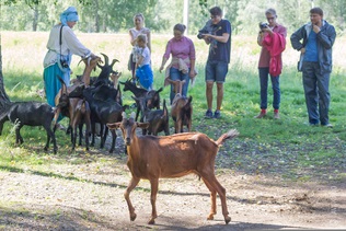 A faluban a kalandok kalandjai, amikor eljutottunk az első agroturizmusunkba