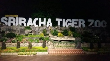 Incidente în Pattaya cu turiști și localnici