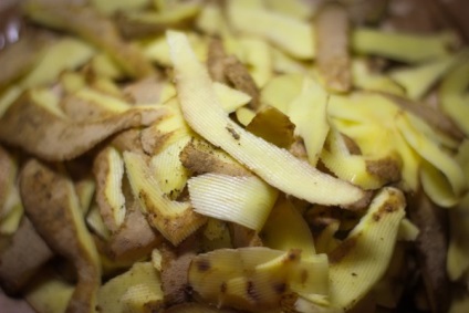 Sfaturi simple despre cum să utilizați îngrășăminte din peeling cartofi în grădină și nu numai