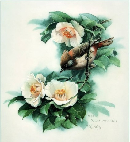 Păsări și flori ale artistului chinez zeng xiao lian - târg de maeștri - manual, manual