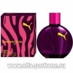 Puma, parfum originala puma, parfum, toaleta puma pentru barbati si femei, comentarii