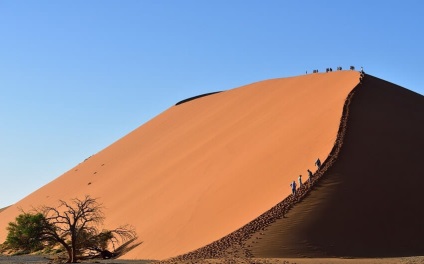 Desert Namib descriere, educație, animale, plante