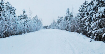 Călătorește prin Yakutia către sursa vânătorilor