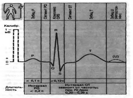 Calcularea eq