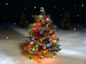 Decodificarea viselor în care există un copac de Anul Nou, despre care arborele de pom de Crăciun visează