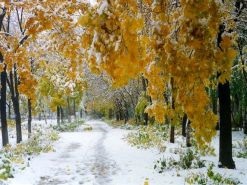 Történetek a természetről a fiatalabb iskolások számára