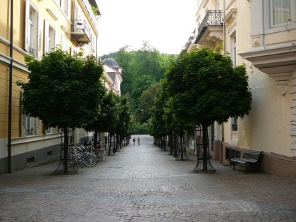 Rosarul din Baden-Baden