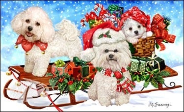 Felicitări de Crăciun cu câini