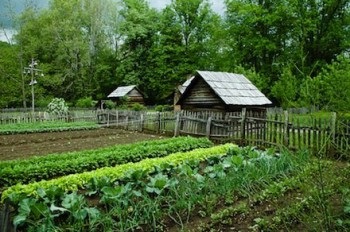 Grădină în stilul țării