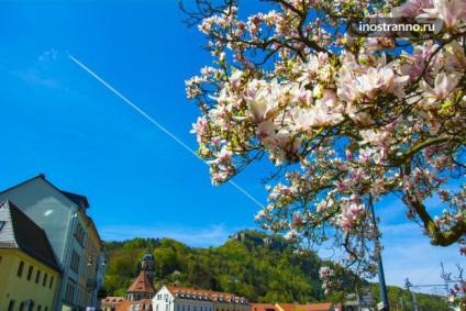 Saxona elvețiană și cetatea Königstein