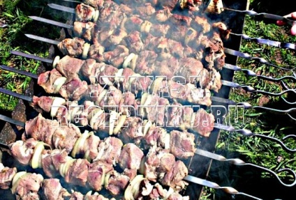 Skewers de carne de porc în maioneza, feluri de mâncare delicioase de carne