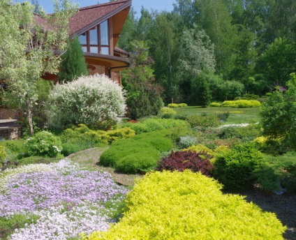 Mirosuri puternice de flori, ierburi, arbusti pentru grădină și vile aromatice ierburi în grădină, sfaturi pentru