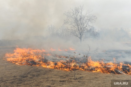 Situația cu incendii forestiere de pe Peninsula Yamal rămâne critică