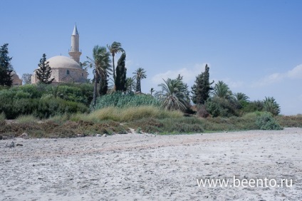 Salt Lake Larnaca în Cipru