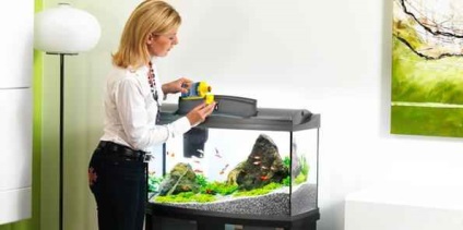 Sugestii pentru acvaristii novici pentru echiparea acvariului