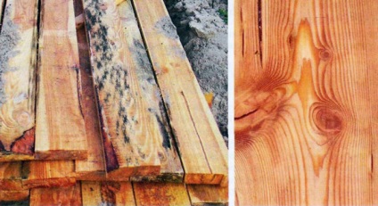 Mijloace de protecție a lemnului de la decădere, aprindere, umiditate, insecte și alți factori