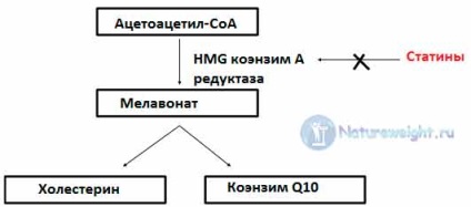 Statinele pentru beneficiile colesterolului și sănătatea