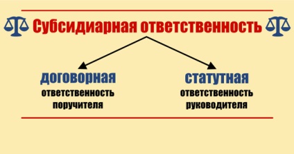 Răspunderea subsidiară în faliment - poziția șefului, condițiile, instanța