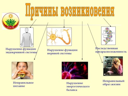 Medicina tibetană împotriva obezității