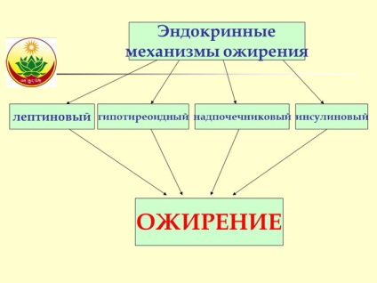 Tibeti orvostudomány az elhízás ellen