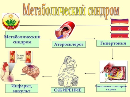 Medicina tibetană împotriva obezității