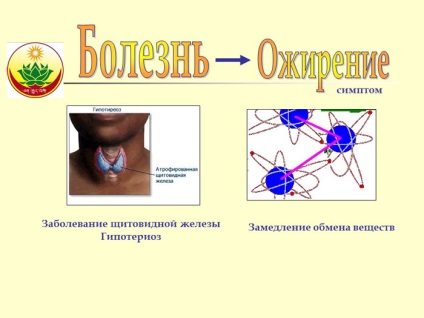 Medicina tibetană împotriva obezității