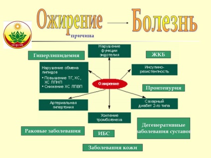 Medicina tibetană împotriva obezității