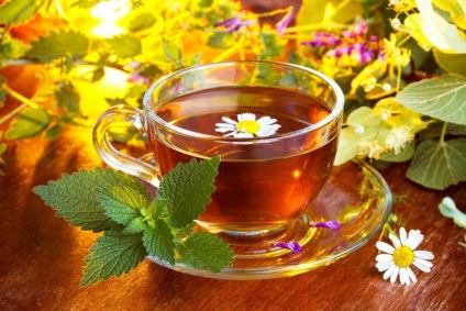 Injecții și decoctări din plante - prepararea de ceaiuri medicinale