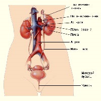 Uroflowmetrie (ufm), urologul meu