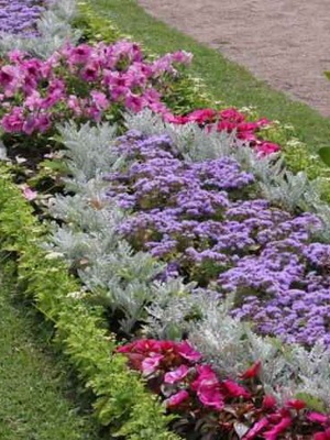 Aranjamentul de paturi de flori în țară cu propriile mâini, grădinărit24