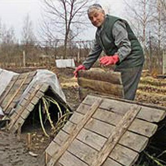 Îngrijirea copacilor și arbuștilor pentru tăierea iernii și a iernii, fertilizarea și udarea