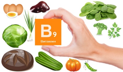 Ce alimente conțin acid folic, alimente cu vitamina B9 - tabel și listă